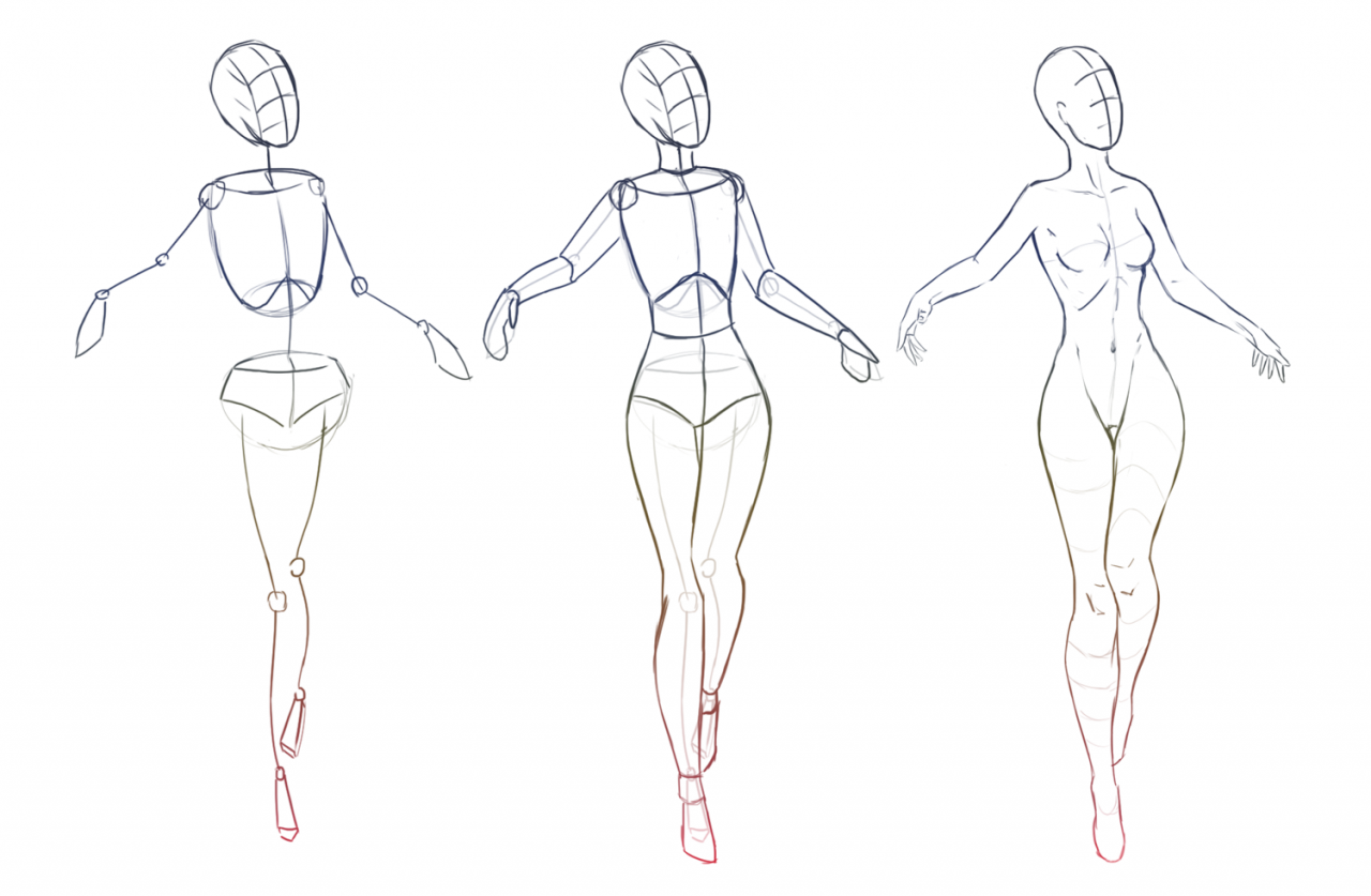 Тело в ней легко. Тело рисунок. Анатомия талии для рисования. Анатомия человека для рисования девушка. Рисование фигуры человека поэтапно.