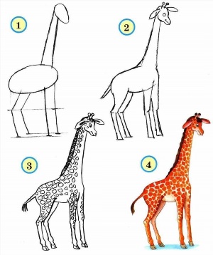 Как нарисовать жирафика