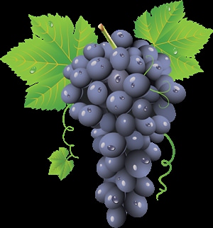 Клипарт виноград
