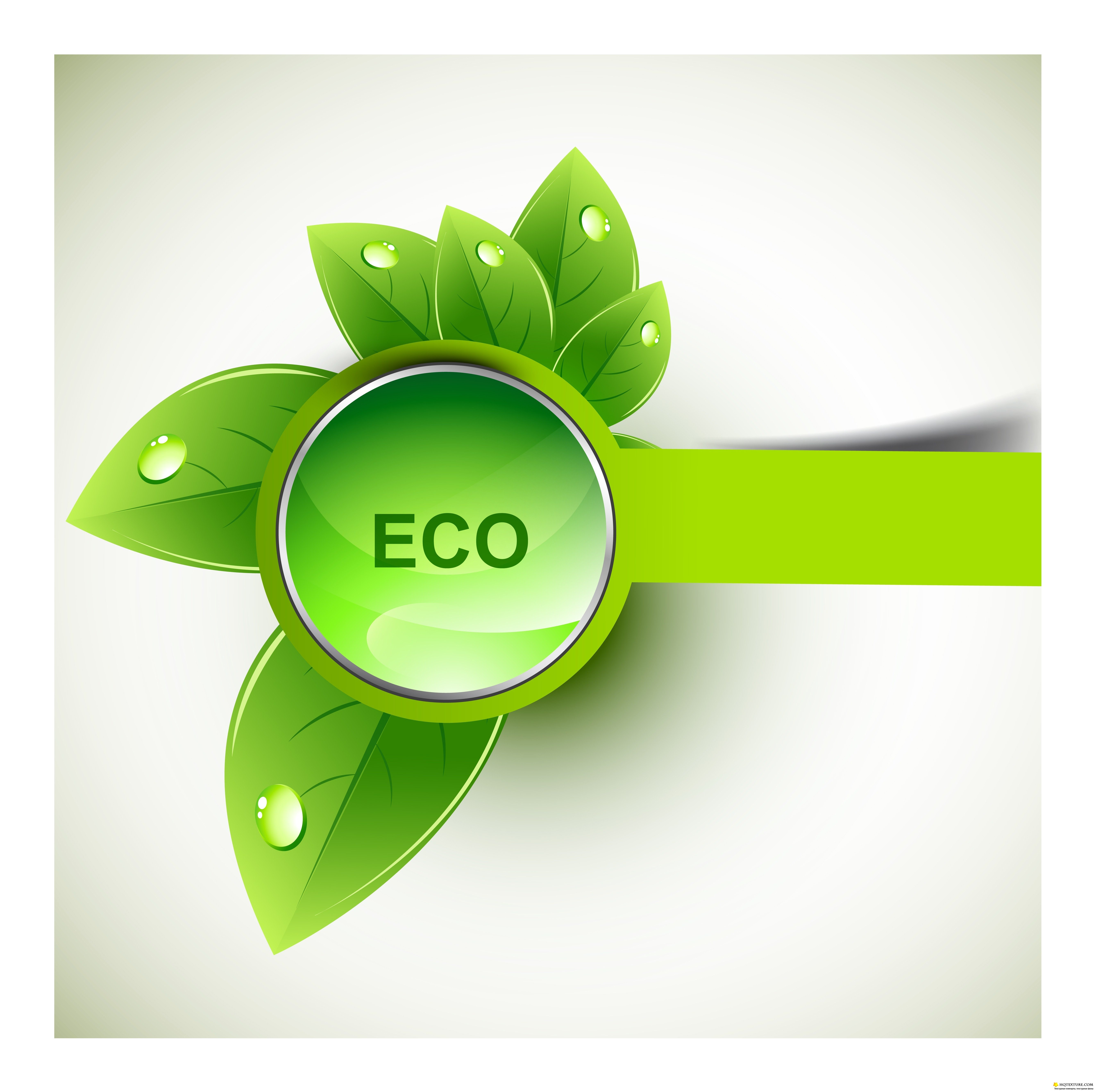 Знак Eco. Эко иконка. Иконка экологически чистый продукт. Значок экологически чистого продукта.