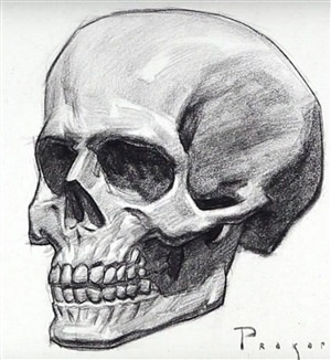 Рисунки карандашом череп человека