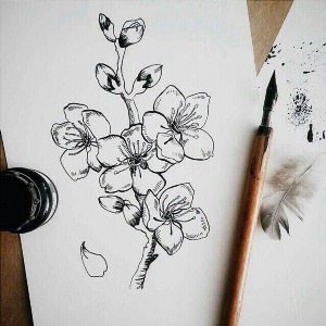 Рисунки цветы ручкой