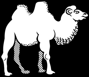 Верблюд контурный рисунок