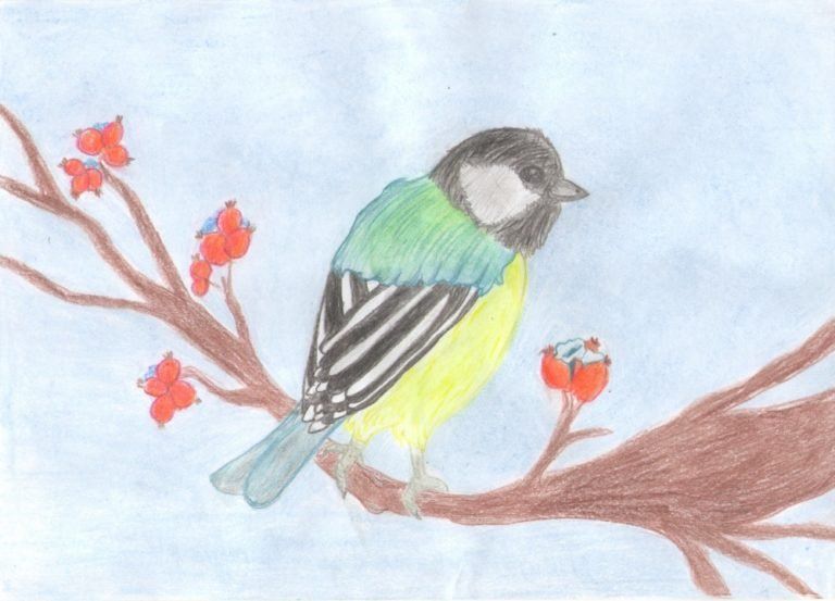 Рисунок к дню птиц. Рисунок на тему птицы. Рисунок ко Дню птиц. Детские рисунки на тему птицы. Рисунок на тему день птиц.