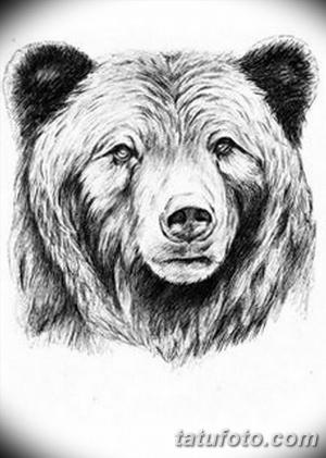 Медведь рисунок тату