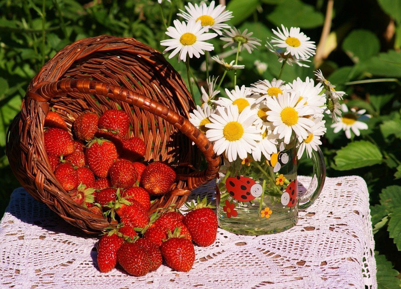 Открытка доброе летнее. Летнее настроение. Доброго летнего дня. Прекрасного летнего дня. Ромашки и ягоды.
