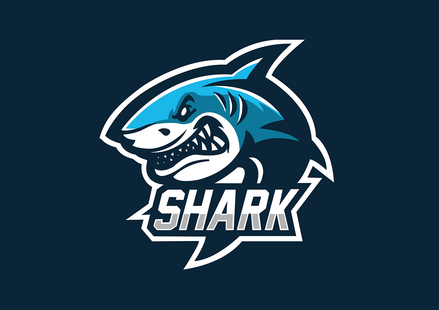 Акула логотип. Эмблема Шарк. Shark надпись. Акула аватарка. Раскрутка сайта team shark