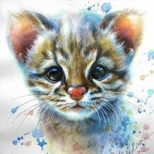 Котенок рисунок красками