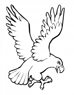 Орел контурный рисунок