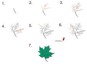 Как нарисовать листву