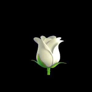 Смайлики белая роза