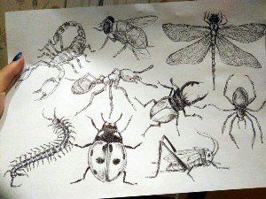 Рисунки ручкой пчела