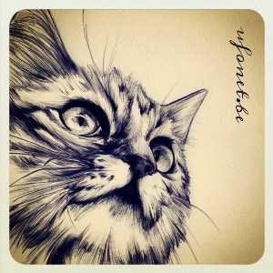 Рисунки ручкой кошки