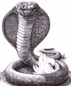 Рисунки карандашом кобра