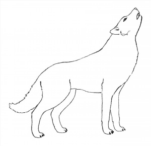 Легкий рисунок волк