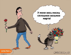 Кот карикатура