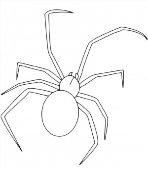 Легкий рисунок паук