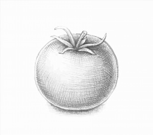 Рисунки карандашом помидор
